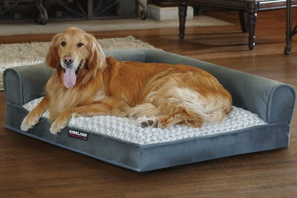 Dogs-Bed