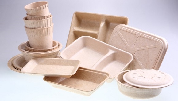 Bamboo-Disposable-Containers