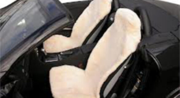 Sheepskin Vs. Fabric Seat Covers
