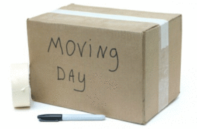 Should I DIY or hire Removalists?