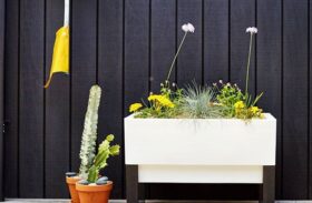 Self-Watering vs. DIY Planters: The Right Solution for Urban Gardens