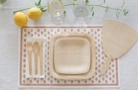 Comparing the Different Types of Eco-Friendly Disposable Plates