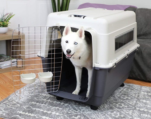 Plastic Dog Crate