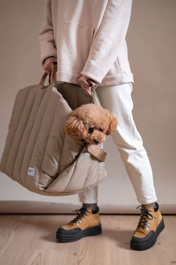 portable dog carrier