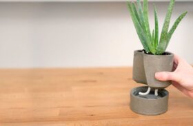 Modern Self Watering Planters: Advantages and Disadvantages