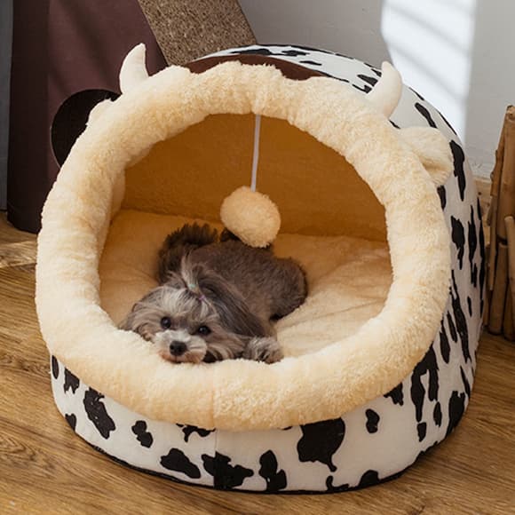 dog in a dog cow bed