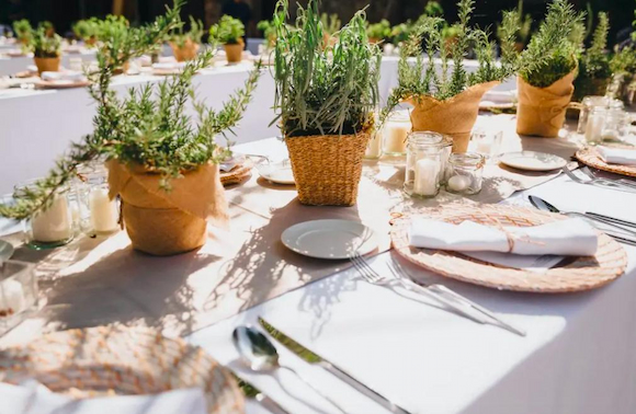 woven wrapped potted herbs as wedding centerpiece