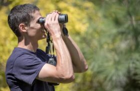 Binoculars 101: Types and Uses